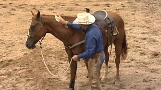 Craig Cameron Explains How To Ride The Canter On the Equicizer amp Horse [upl. by Acinna]