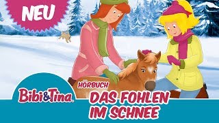 Bibi amp Tina  Das Fohlen im Schnee  Hörbuch Hörprobe [upl. by Dari]