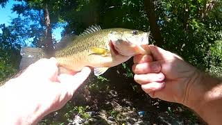 Fishing Otter Creek Middlebury Vermont Part 2 [upl. by Emyle]