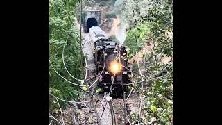 Union Pacific Big Boy 4014 hits tree in Auburn CA [upl. by Jonme]