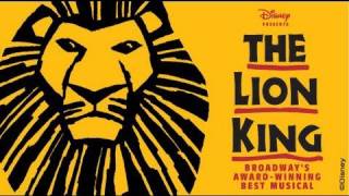 Disneys The Lion King  Orpheum Theatre  Minneapolis [upl. by Aihsekram]