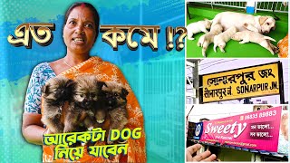 LOW PRICE DOG BREED SELLER IN KOLKATA  DOG BREEDER AT SONARPUR KOLKATA  DOG FOR SELL  8820055551 [upl. by Ofelia143]