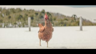 Crossroads  KFC Funny Commercial [upl. by Baillieu35]