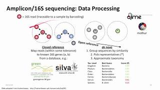 Introduction to Metagenomics for Researchers [upl. by Tihw]