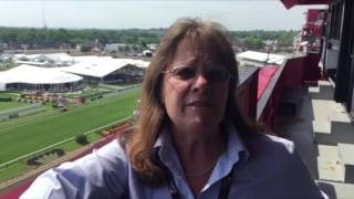 Preakness 2017 picks by Jennie Rees for the Maryland Jockey Club [upl. by Etakyram152]