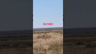 65 PRC Pronghorn at 304 Yards [upl. by Heinrick765]