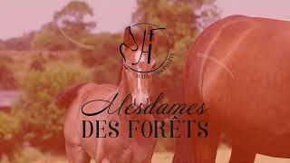 46 UNTE DES FORETS [upl. by Francklyn]