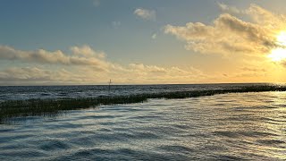 Lake Okeechobee Fishing Report  Summertime [upl. by Imotih680]