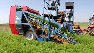 ASALIFT T300 DF Bogomaz  Bryansk Морковоуборочный комбайн  Carrot harvester [upl. by Innavoeg]