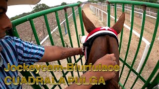 Jockey Cam  Biurfulaice cuadra LA PULGA [upl. by Alfie]