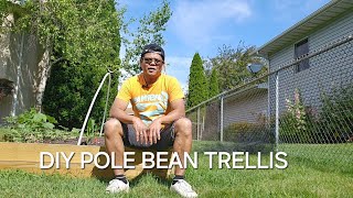 How to make Pole Bean TrellisLifestyleProjectsandGardening [upl. by Okir399]