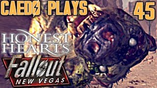 BEARly Made It  Caedo Plays Fallout New Vegas 45  Honest Hearts Buckaroo Build [upl. by Annayt]