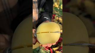 How To Cutting And Evryone Enjoy Beautiful Seasonable Fruits 🍏 [upl. by Noemys]