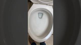 Testing a Aquasource toilet ￼ [upl. by Ayram]