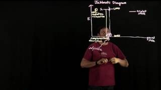 The Jablonski Diagram [upl. by Atirahs]