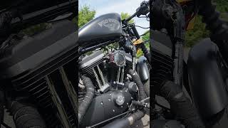 Custom Harley Davidson Sportster Iron 883 Cold Start iron883 [upl. by Holtz]