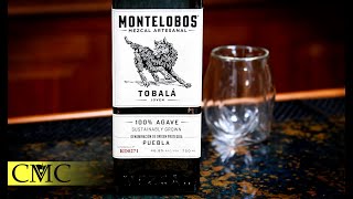 We Drink 100 Bottle of Mezcal Montelobos Tobala amp Dan tries Jeppsons Malort unrelated [upl. by Grimbald]