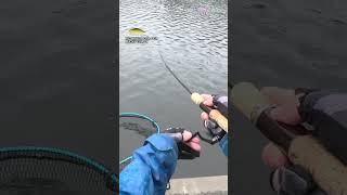 【AREA TROUT FISHING】 2024109 Part21 [upl. by Crichton584]