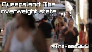 Queensland The overweight state  The Feed [upl. by Nonad]