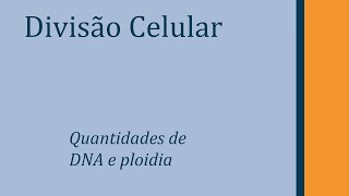 Divisão Celular e Quantidades [upl. by Roti]