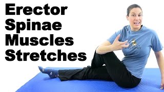 Erector Spinae Muscles Stretches  Ask Doctor Jo [upl. by As31]