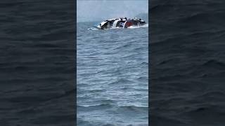 Boat accident in Goa  short [upl. by Nevag]