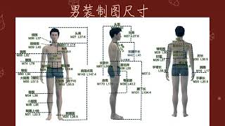 服装制图尺寸 服装制版 职业技能 服装制图 服装打版 [upl. by Nyllaf]