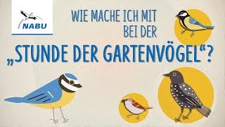 quotStunde der Gartenvögelquot  So könnt Ihr mitmachen [upl. by Godart]