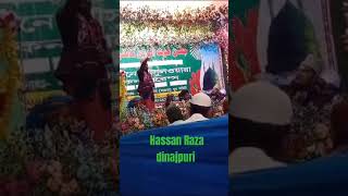 Hassan Raza Dina puri new status Islami Naat [upl. by Eisej684]