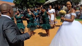 Taxi Operators Big Wedding 🇿🇦 5 Cows Music Food Dance Gifts and Vibes Caryl Marrying Mumsy [upl. by Nref643]