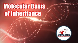 Molecular Basis of Inheritance l Lecture 13 l Biology l NEET [upl. by Kolva566]