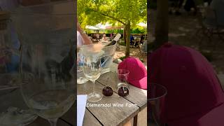 Some wine at Diemersdal Wine Estate🍷 wine southafricanwine winelovers farm summer diemersdal [upl. by Taryne]