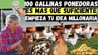 100 gallinas ponedoras hay que tener para que sea rentable y liberta financiera [upl. by Uolymme]