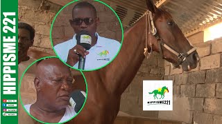 ENTRETIEN EXCLUSIF AVEC AYOUBA DIAKHATE PROPRIETAIRE DE CHEVAUX [upl. by Zorah]