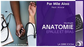 1 ANATOMIE  La myologie de lépaule et du bras par Mlle Alaa Feat AnwarBz [upl. by Reger46]