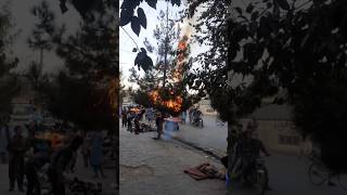 Green Tree Take Fire 🌴🔥 Afghanistan 😳Magic viralshorts fire trending [upl. by Korman]