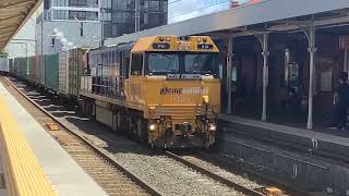 Pacific National 010 Passing South Brisbane Train Station Platform 1 [upl. by Anyaj]