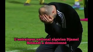 Lentraîneur national algérien Djamel Belmadi a démissionné [upl. by Mauro]