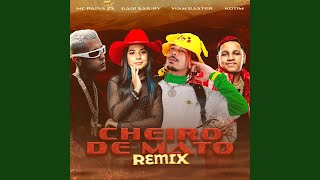 Cheiro de Mato Remix [upl. by Etnovaj]