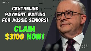 3100 Centrelink Payment Waiting for Aussie Seniors Centrelink Before Its Too Late [upl. by Nappie]