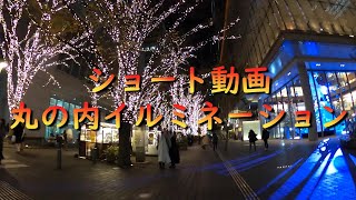 【Gopromaxで360度動画撮ろう】丸の内イルミネーション20231221 [upl. by Aicram718]