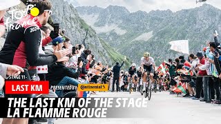 Last Km  Stage 14  Tour de France 2024 [upl. by Volding]