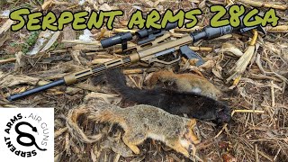 SERPENT ARMS 28ga shotgun hunting [upl. by Aitram]