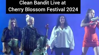 Clean Bandits more live performances at Cherry Blossom Festival 2024 Shillong  Courtesy  HH [upl. by Noned]