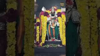 Muruga  Murugan songs murugasongs murugan முருகன் song tamil shorts shortsfeed lordmuruga [upl. by Lally462]