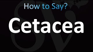 How to Pronounce Cetacea correctly [upl. by Aerdnaz691]