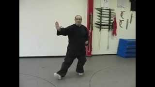 Tai Chi  Long Form  Jump Kick  Jumping Method [upl. by Anahpos228]