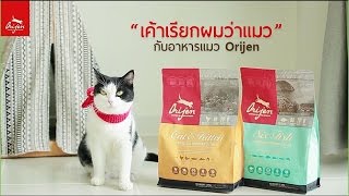 Review อาหารแมว ORIJEN กับ รางวัลชนะเลิศอาหารที่มีความเหมาะสมด้านชีวภาพ [upl. by Enyale]