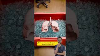 ¿Cómo se conservan los pulmones para un trasplante 🫁❄️ curiosidades salud sabiasque medicina [upl. by Declan277]