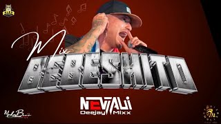 MIXX REPARTO BEBESHITO  LO QUE MÁS SUENA Y LO MÁS SONADO  NEVTALIDJMIXX 🥵 [upl. by O'Dell333]